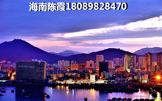 國禎·棕櫚島