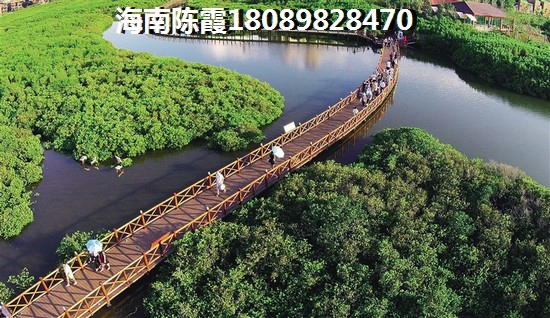 海南地恒花園