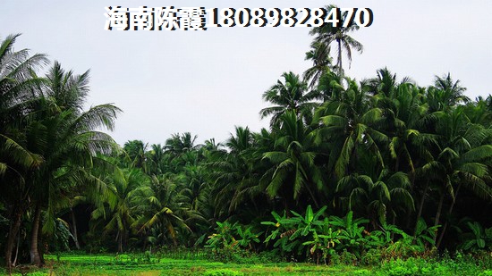 華潤石梅灣九里