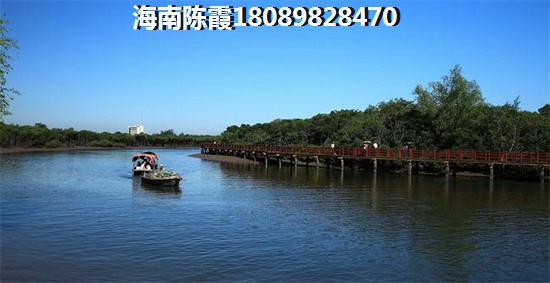 海南房產(chǎn)如何