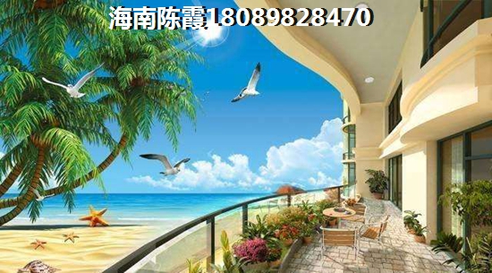 2021年定安的房子生紙的空間大嗎？