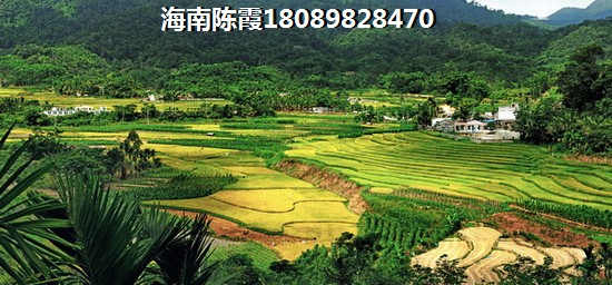 海南定安縣房價排行