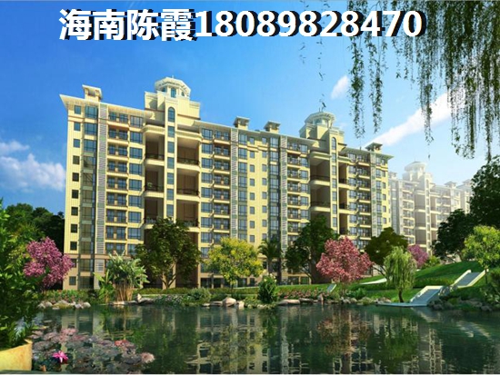 解讀海南樂東房地產政策