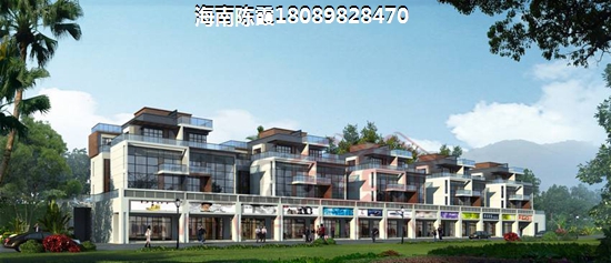 2024五指山瑞園生紙分析！2