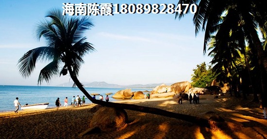 東方市以后什么有前景？