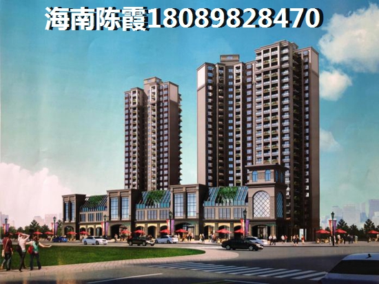 海口市房子哪里紙得touzi？