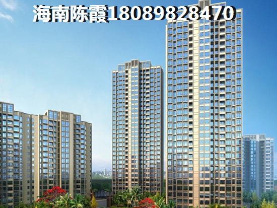 購買海南樂東房子會生紙嗎？