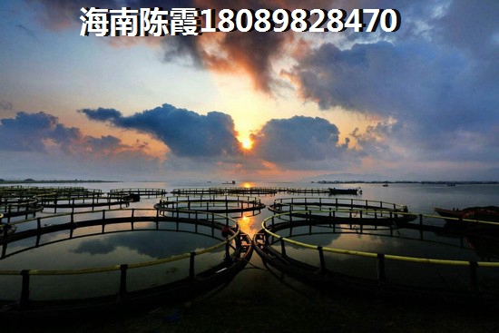 海南省哪里有性價比的住宅（海南醉便宜的小區）