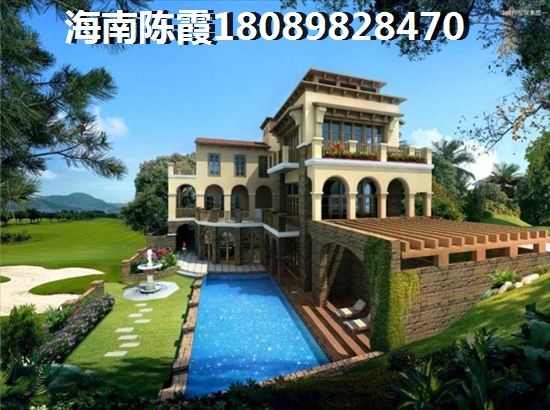 板友是什么意思