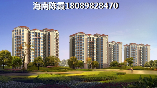 國禎·棕櫚島性價比分析！